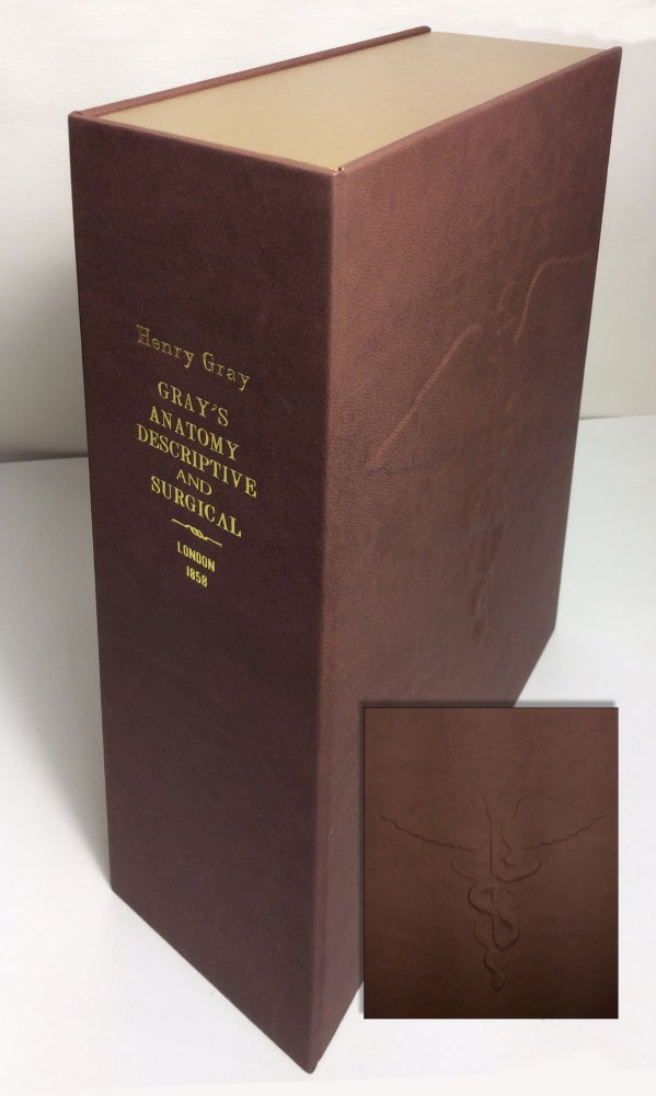 Item #32962 GRAY'S ANATOMY DESCRIPTIVE AND SURGICAL [Collector's Custom Clamshell case only -...