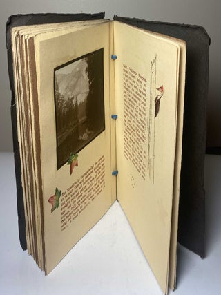 Volume I: A CAMPING TRIP WITHOUT A CAR 1927 Inscribed and signed by Frances G. Lauderback to her friend Marion Bettison Volume II: A SECOND CAMPING TRIP WITHOUT A CAR 1928 Original 1/1 Artist Books.